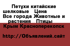 Петухи китайские шелковые › Цена ­ 1 000 - Все города Животные и растения » Птицы   . Крым,Красноперекопск